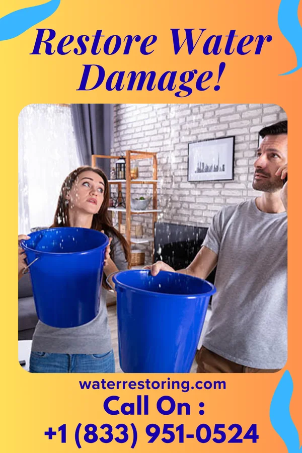 water restoration Zenith Mitigation Solutions Central City