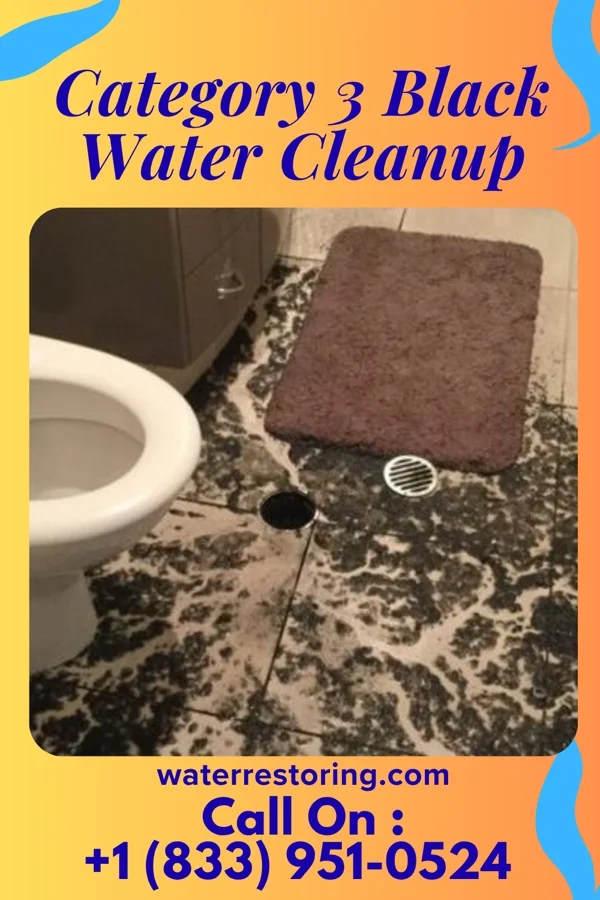 Category 3 Black Water Cleanup in Central City, KY