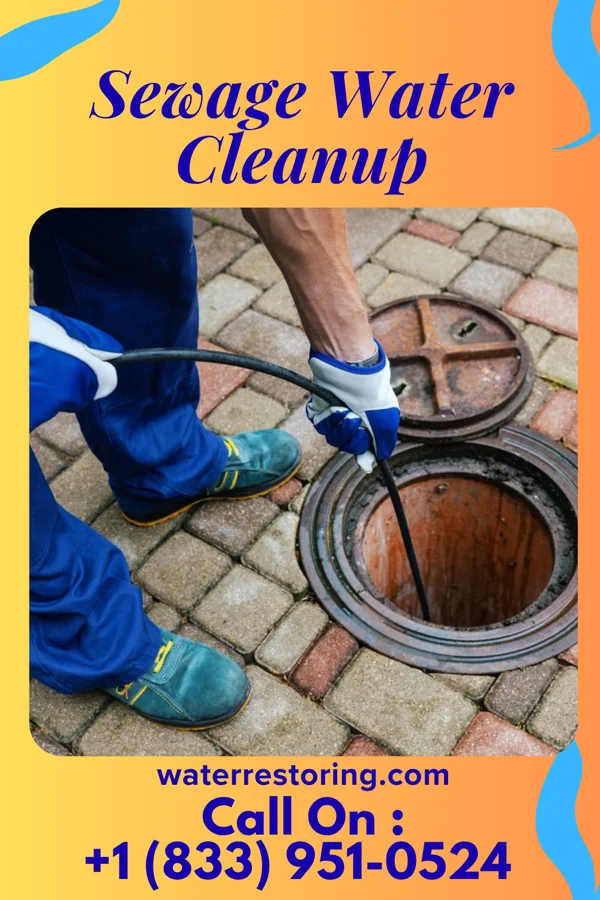 Sewage Water Cleanup in Central City, KY