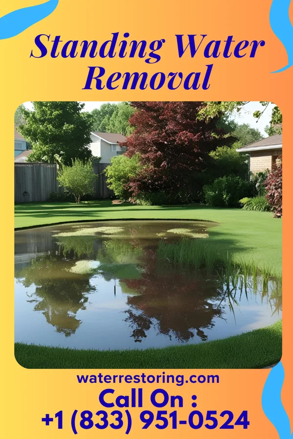 Standing Water Removal in Central City, KY